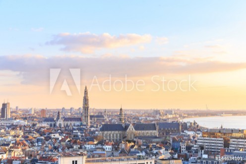 Afbeeldingen van View over Antwerp with cathedral of our lady taken